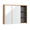 Novad Devon Spiegelschrank 100x75x18cm